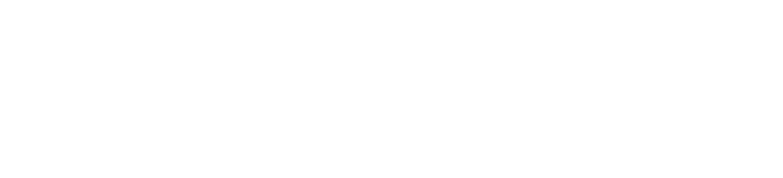 Reamikka